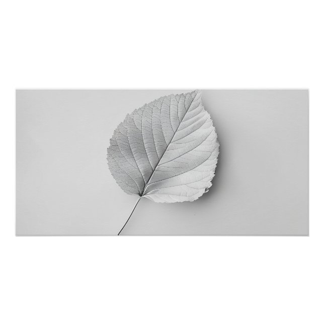 Póster Feuille Minimaliste Monochrome (Frente)