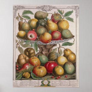 Poster Fevereiro, 'doze meses das frutas