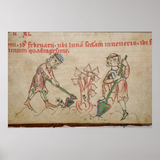 Póster Fevereiro: refúgio (Frente)