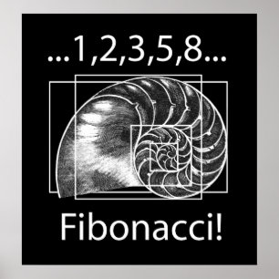 Póster Fibonacci