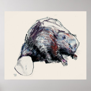 Póster Fibra 2001 do rodízio