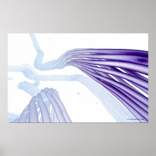 Poster Fibras de nervo estilizados