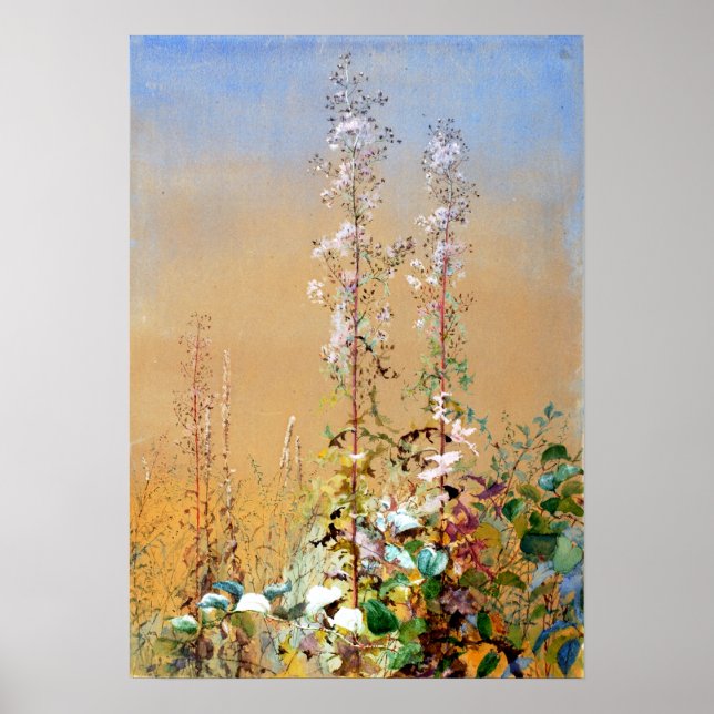 Poster Fidelia Bridges Sem Título (Frente)