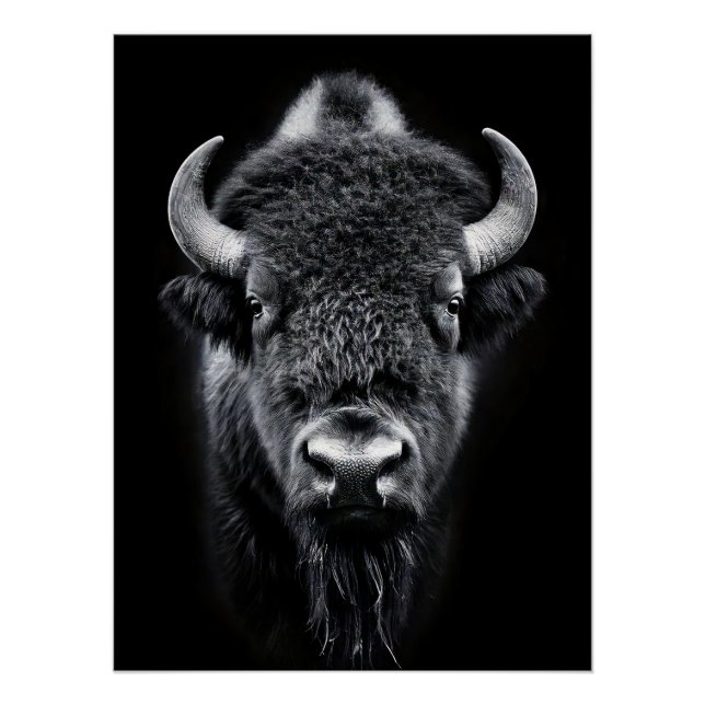Póster Fierce Black & White Bison Fine Art Photography | (Frente)