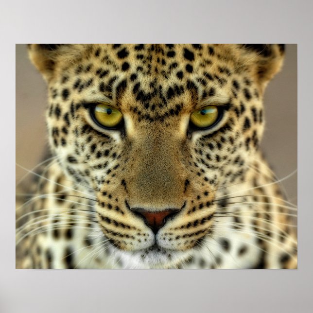 Póster Fierce Leopard (Frente)