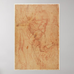 Póster Figura estudo