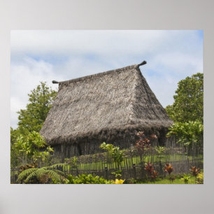 Póster Fiji, Viti Levu Island. Cultural Polynesian