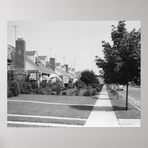 Póster Fileira de Casas