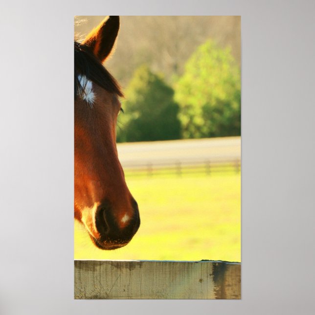 Póster Filha Excelente do Secretariado (Frente)