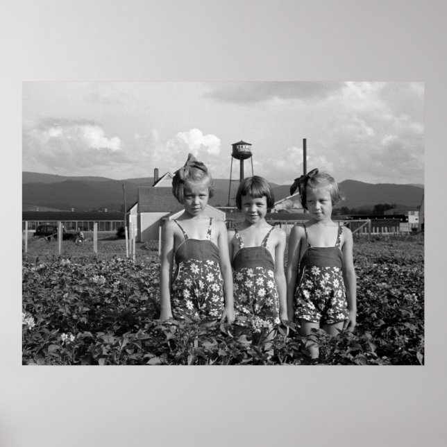 Poster Filhas de fazendeiro, 1939 (Frente)