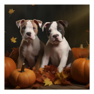 Póster Filhote de American Staffordshire Delícia de Outon