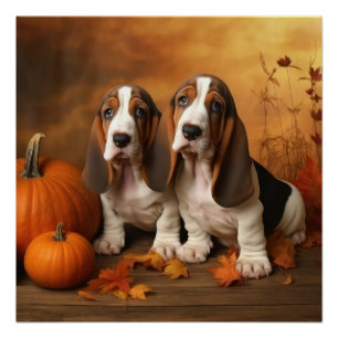 Póster Filhote de Basset Hound Delícia de Outono Abóbora