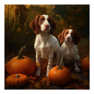 Póster Filhote de Brittany Spaniel Delícia de Outono Abób