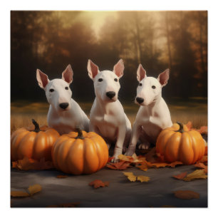 Póster Filhote de Bull Terrier Delícia de Outono Abóbora