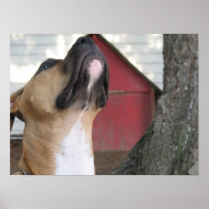 PÓSTER FILHOTE DE CACHORRO AMERICANO DA INTIMIDAÇÃO