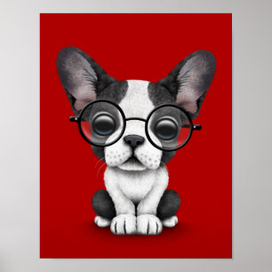 Poster Filhote de cachorro bonito do buldogue francês co