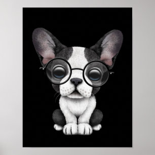 Poster Filhote de cachorro bonito do buldogue francês co