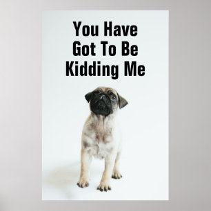 Póster Filhote de cachorro bonito do Pug