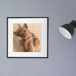 Poster Filhote de cachorro dachshund marrom em pose de ba