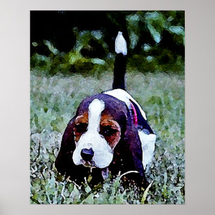 Poster Filhote de cachorro do Basset que anda - branco