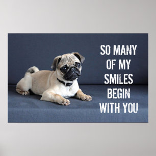 Póster Filhote de cachorro no sofá Lounging