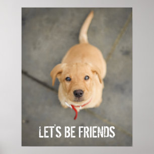 Póster Filhote de cachorro vermelho de Labrador