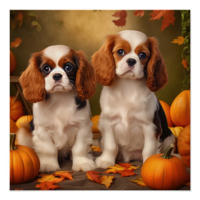 Póster Filhote de Cavalier King Charles Spaniel Abóbora d (Frente)