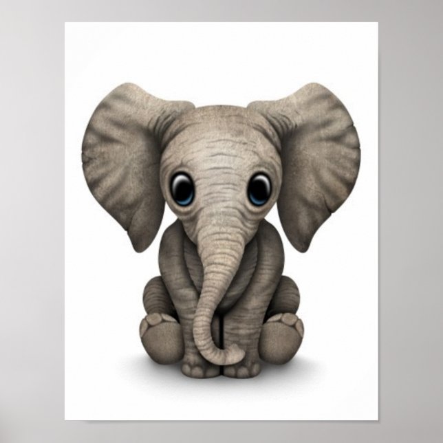 Póster Filhote de Elefante Bonito Sentado, Branco (Frente)