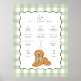 Poster Filhote de Goldendoodle 1º Aniversário Marco 