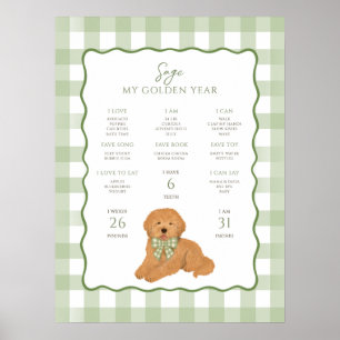 Poster Filhote de Goldendoodle 1º Aniversário Marco