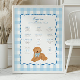 Poster Filhote de Goldendoodle Faz 1 Ano de Idade Marco d