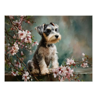 Póster Filhote de Schnauzer Entre Flores de Cerejeira da