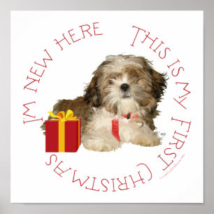 Poster Filhote de Shih Tzu Primeiro Natal