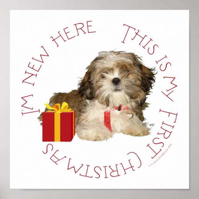 Poster Filhote de Shih Tzu Primeiro Natal (Frente)