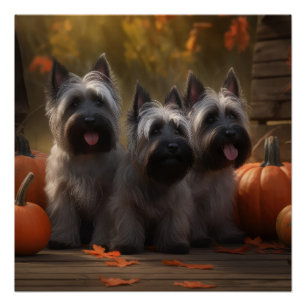 Póster Filhote de Skye Terrier Outono Prazer Abóbora