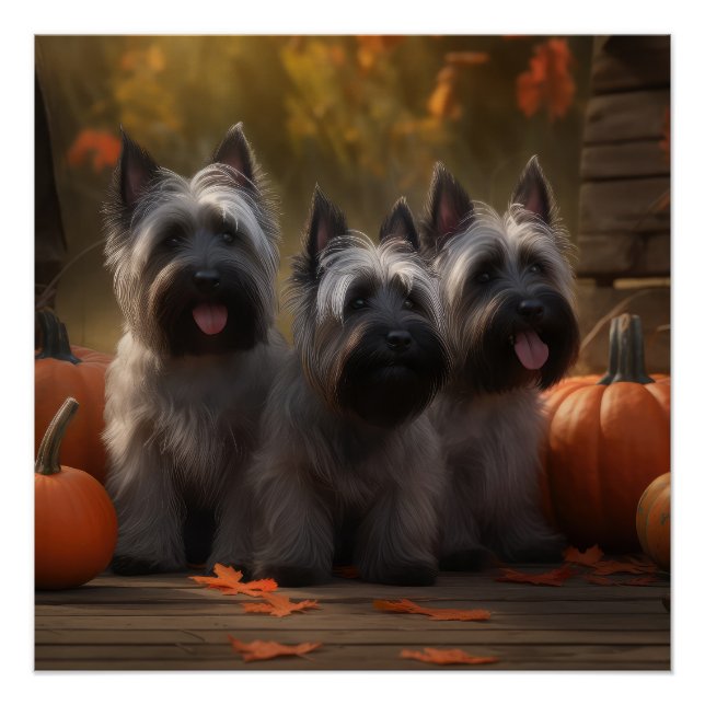 Póster Filhote de Skye Terrier Outono Prazer Abóbora (Frente)