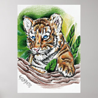 Poster Filhote de Tigre – Ilustração Desenhada à Mão com