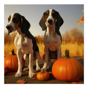 Póster Filhote de Treeing Walker Coonhound Outono Abóbora