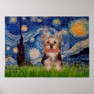 Póster Filhote de Yorkshire Terrier - Noite Estrelada