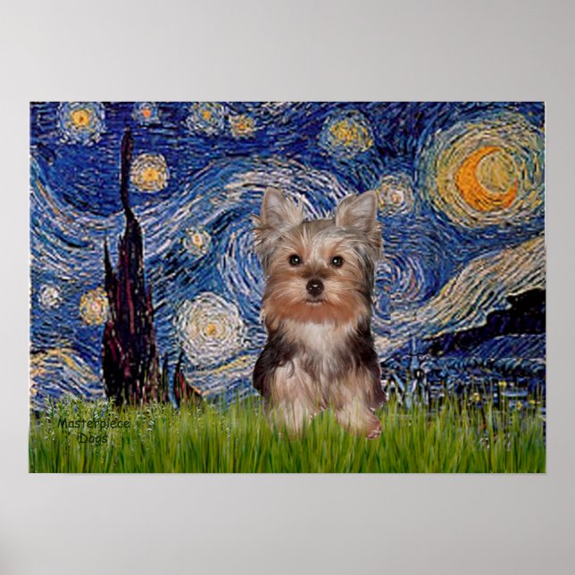 Póster Filhote de Yorkshire Terrier - Noite Estrelada (Frente)