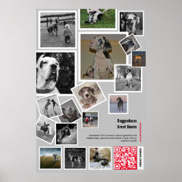 Poster Filhote enorme de Dogue Alemão à venda