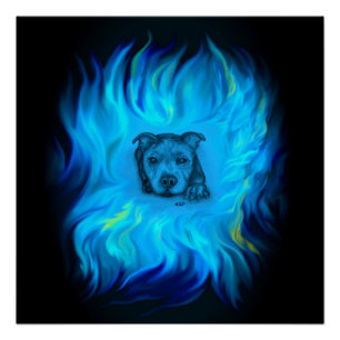 Póster Filhote Staffy Azul