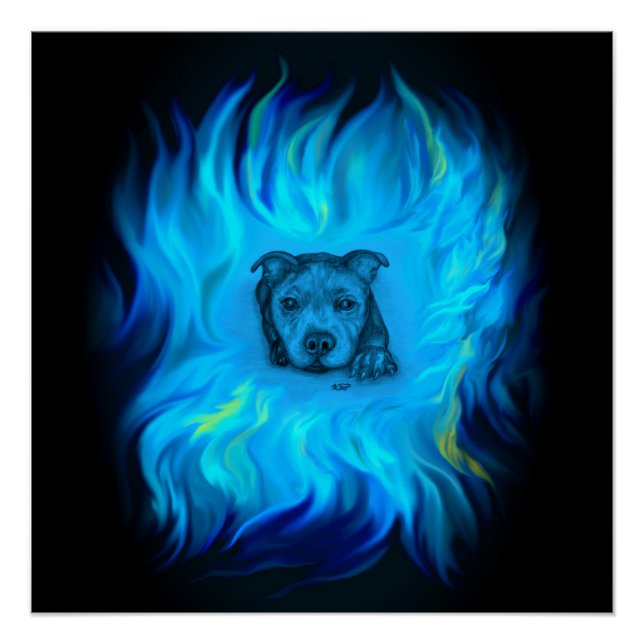 Póster Filhote Staffy Azul (Frente)