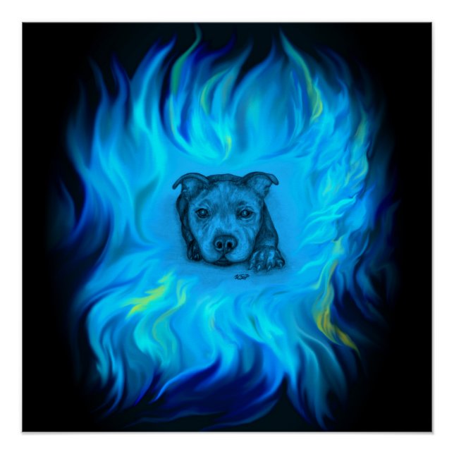 Póster Filhote Staffy Azul (Frente)