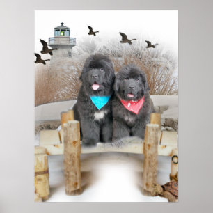 Póster Filhotes de cachorro de Terra Nova na praia