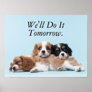 Poster Filhotes de cachorro descuidados do Spaniel de rei