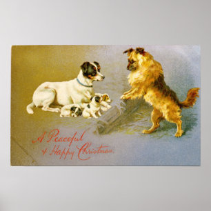 Póster Filhotes de cachorro na palha, cartão do Victoria