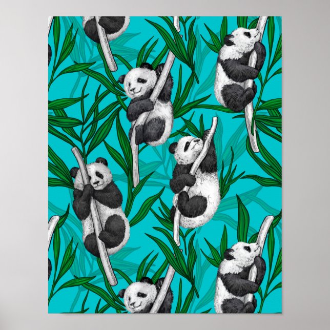 Poster Filhotes de Panda em turquesa (Frente)