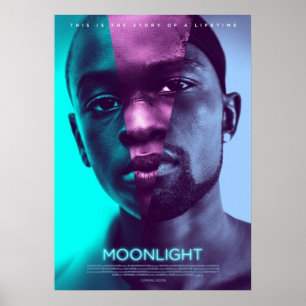 Poster filme ao luar da lua