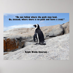 Póster Filosofia do pinguim